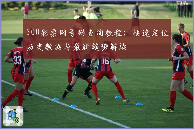 500彩票网号码查询教程：快速定位历史数据与最新趋势解读