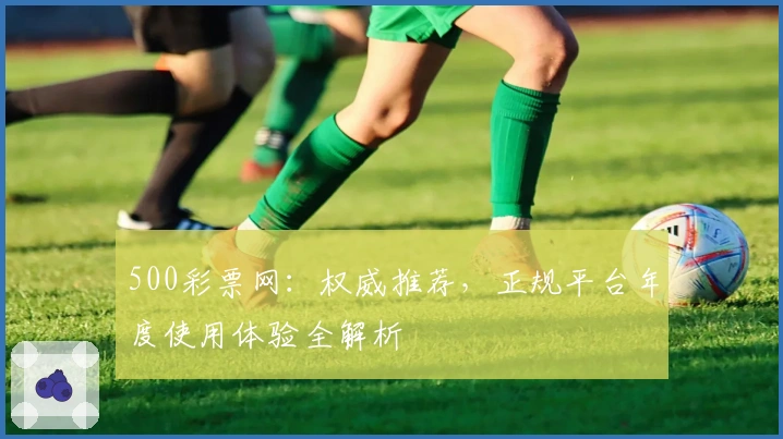 500彩票网:权威推荐,正规平台年度使用体验全解析